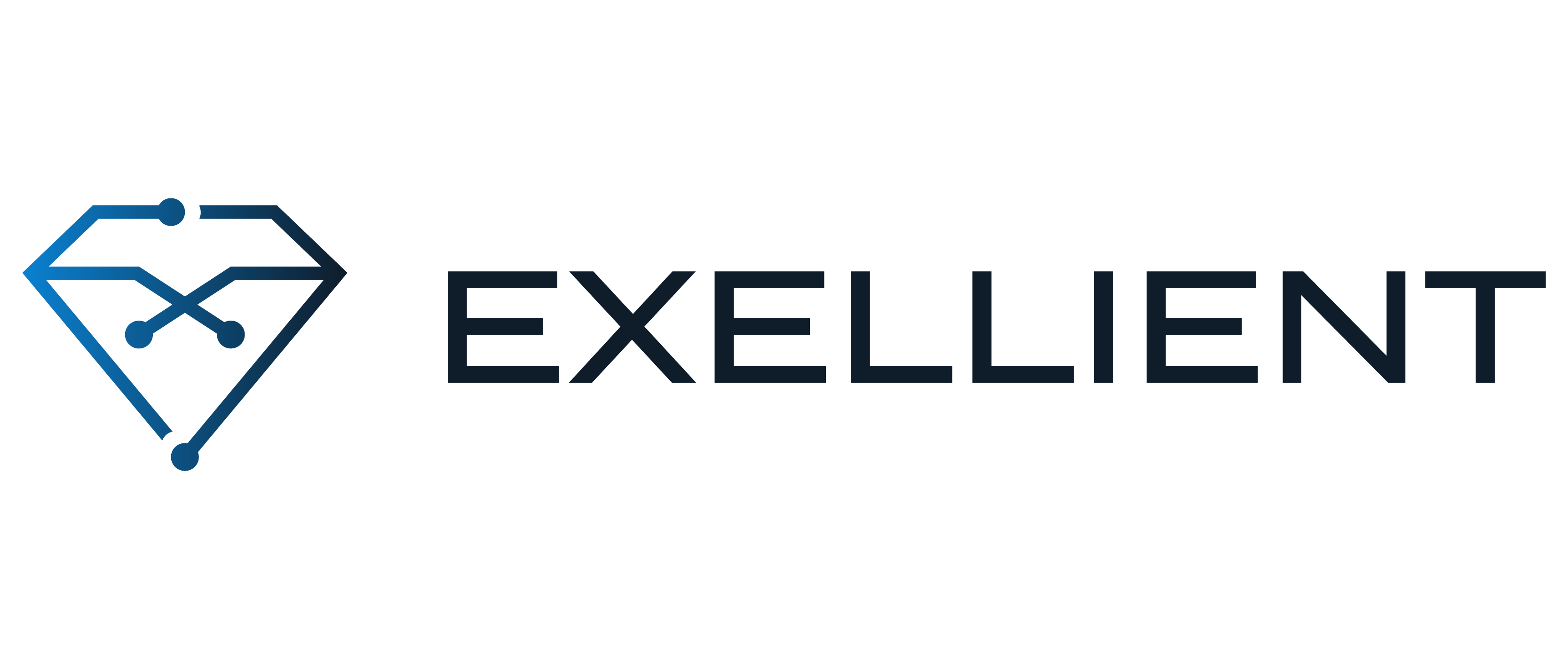 NEXIS | Partner | Exellient