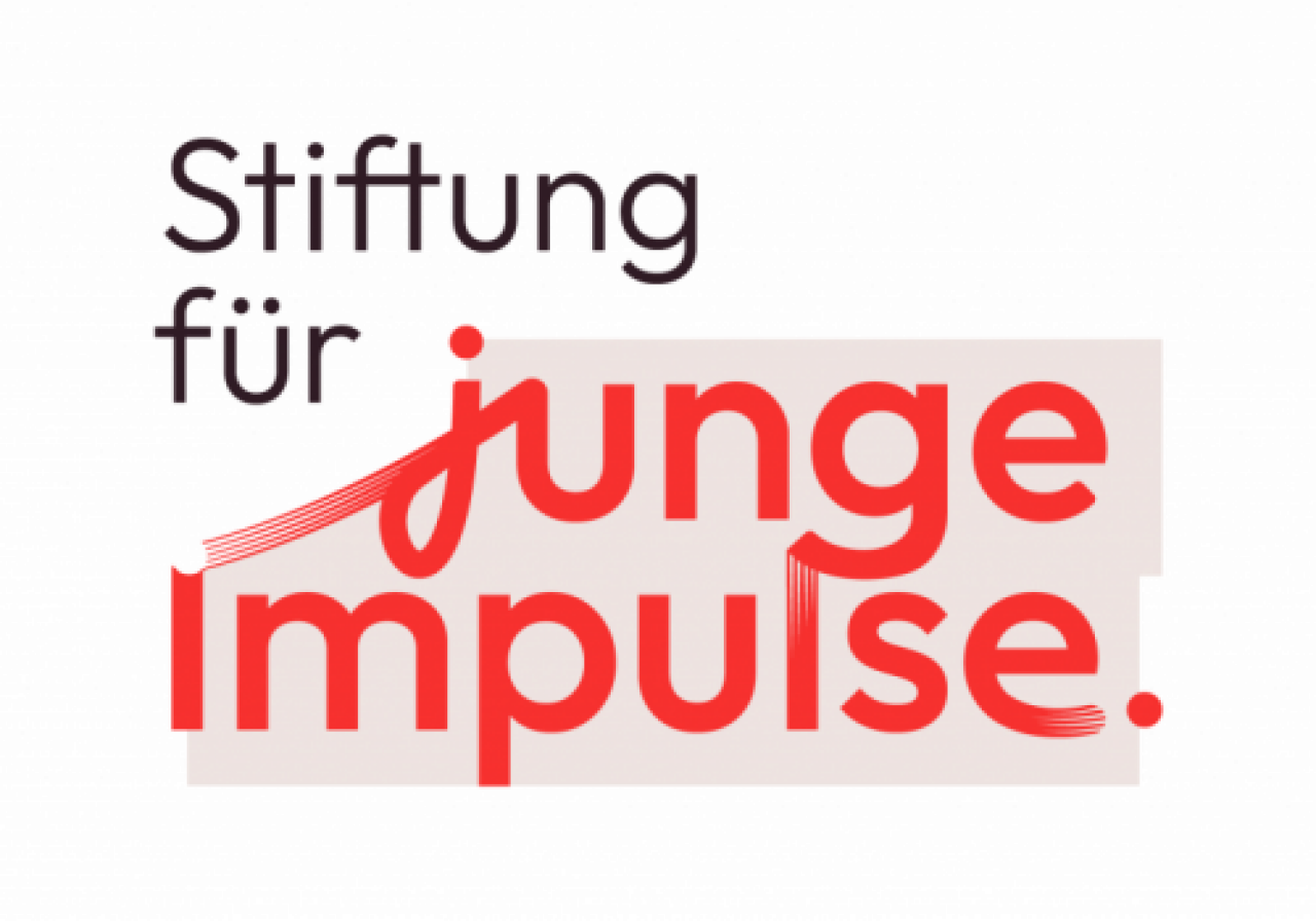 Stiftung für junge Impulse logo